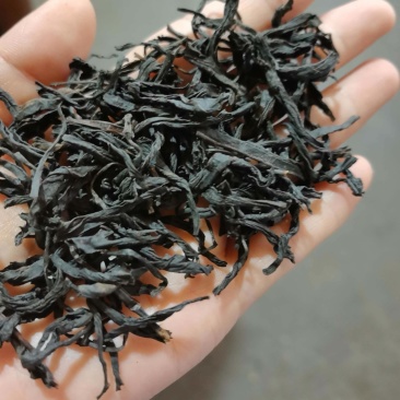 红茶，袋装，大货拿