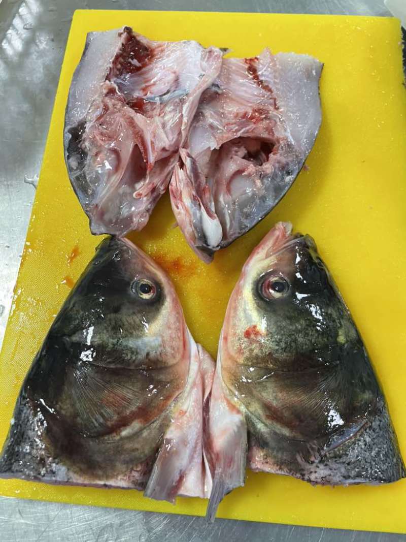 鱼头