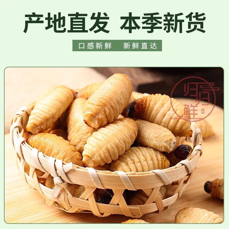竹笋虫