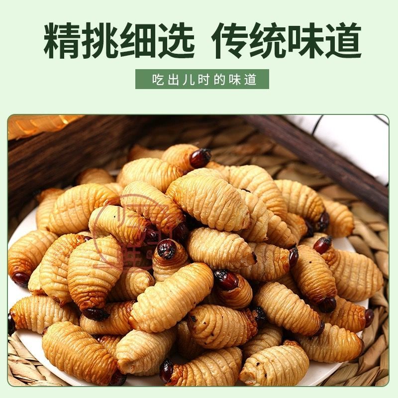 竹笋虫