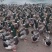128天玉米青头鸭，均重5.78斤，1100只，南宁，11字
