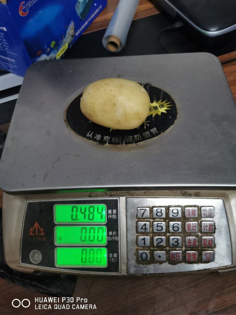 50亩土豆沃土