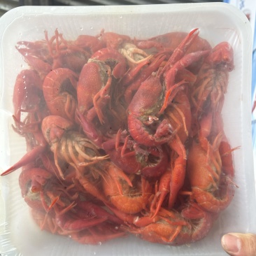 清水小龙虾，油炸小龙虾