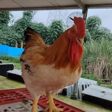 价格优惠多多