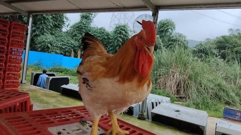 价格优惠多多