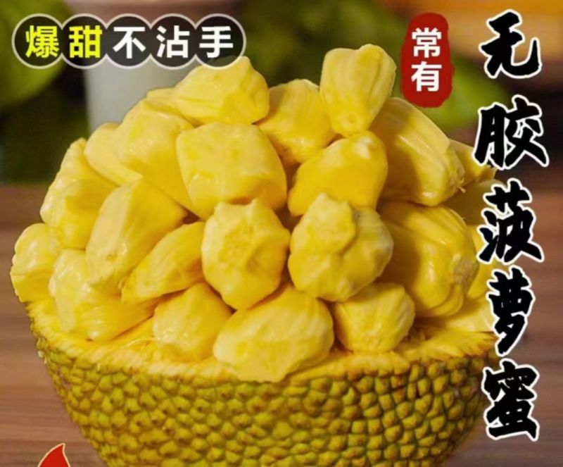 化州市林尘镇珍珠无胶波萝蜜