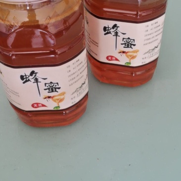 土蜂蜜