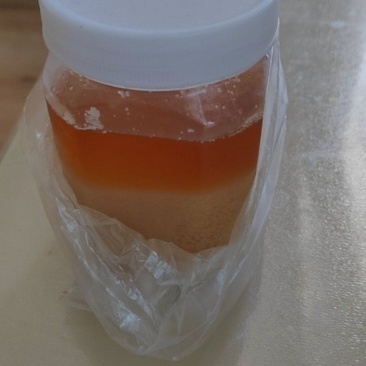 沂蒙山土蜂蜜