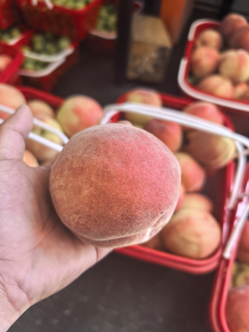 香桃