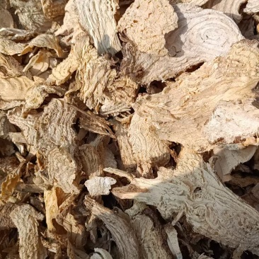 商陆切片