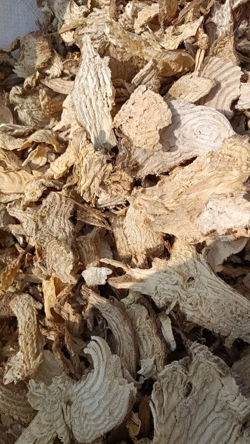 商陆切片