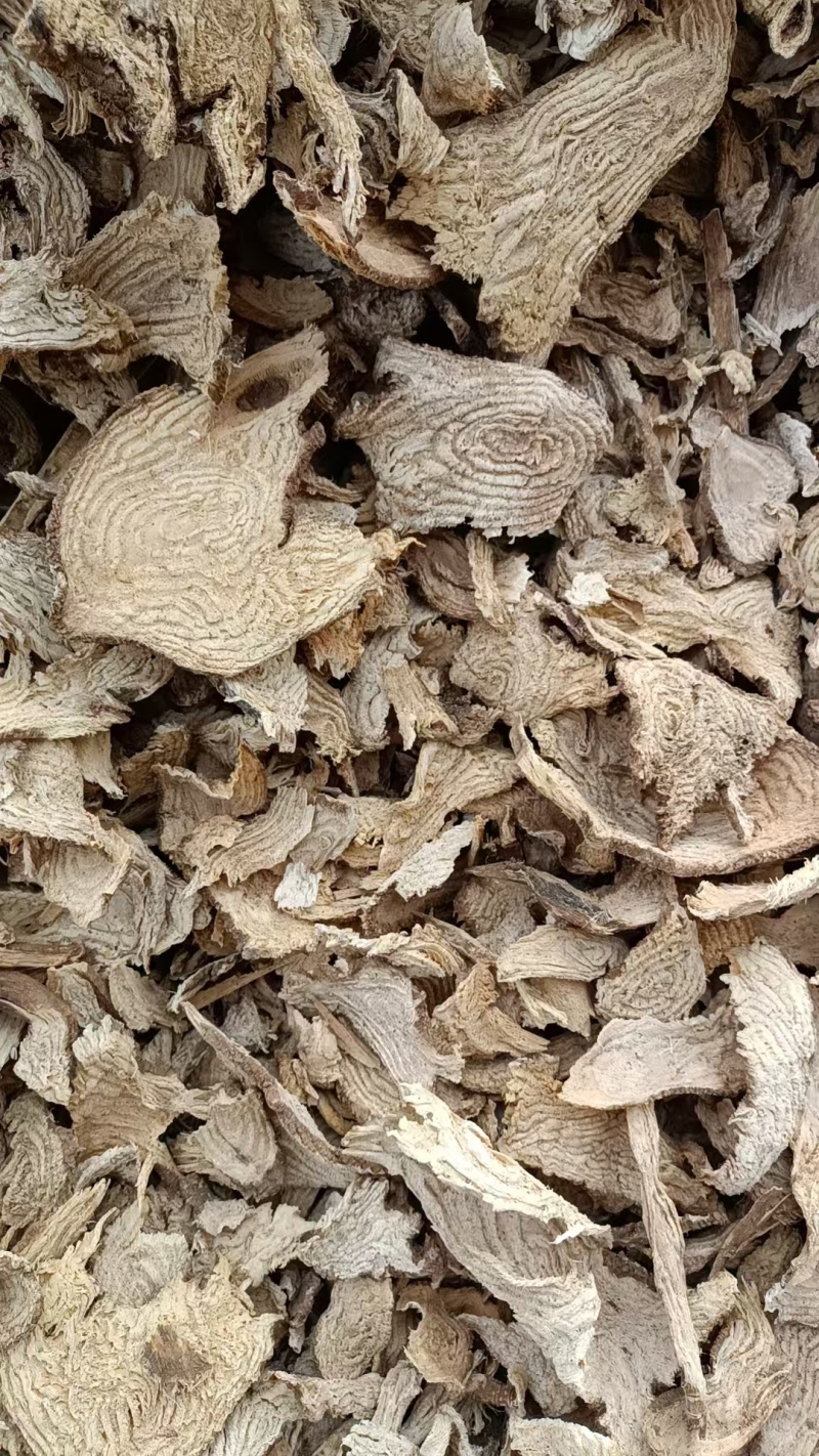 商陆切片