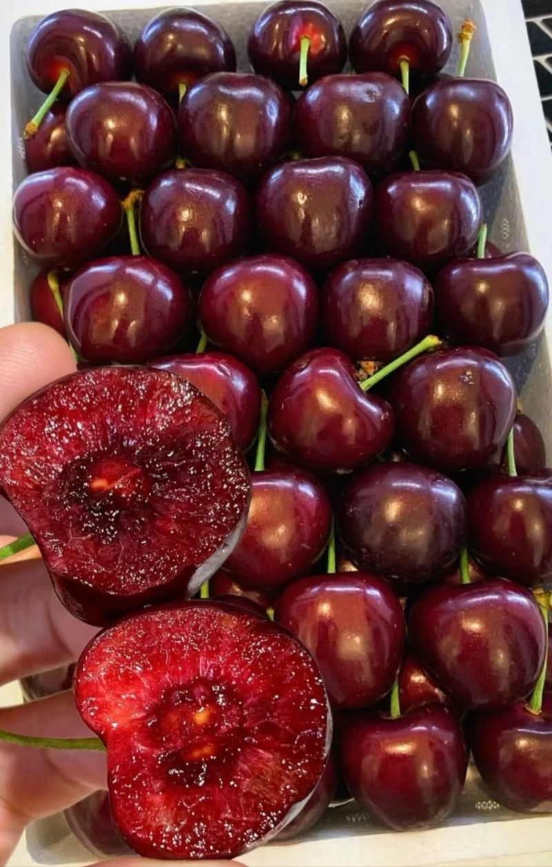 车厘子🍒全国可发，售后无忧