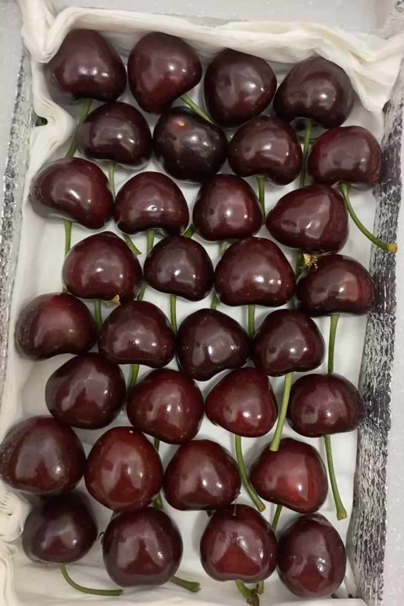 车厘子🍒全国可发，售后无忧