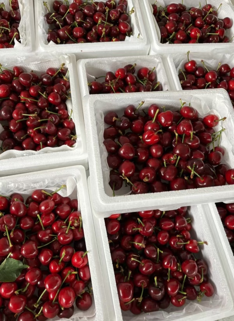 车厘子🍒全国可发，售后无忧