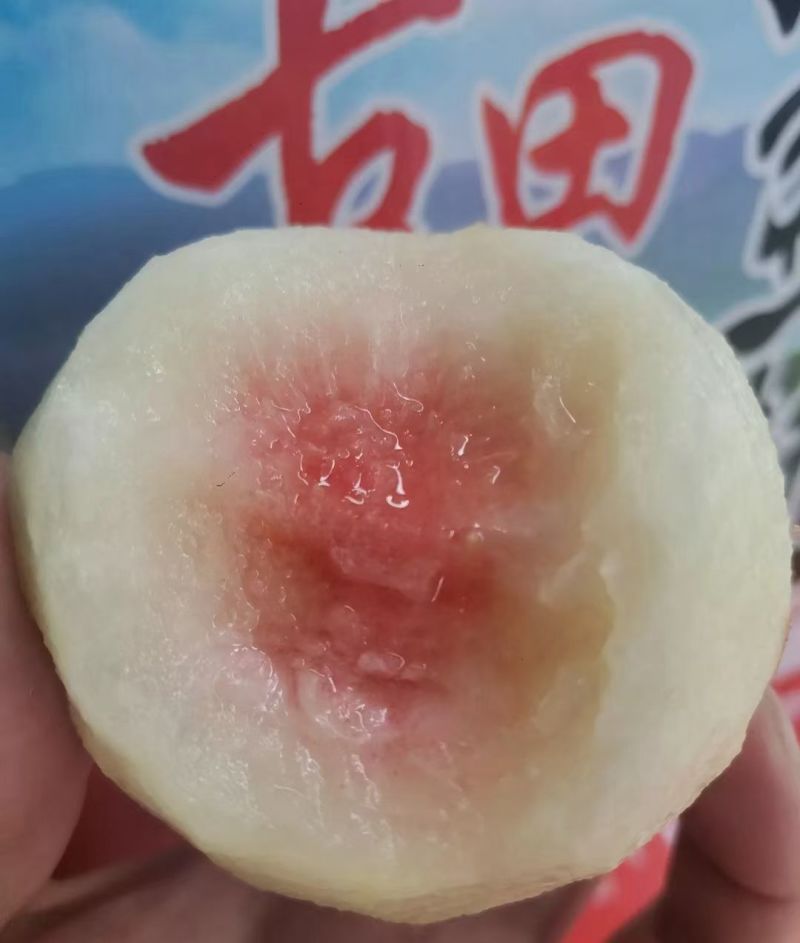 正宗古田水蜜桃（白凤桃，甜桃）