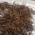 玉树治多冬虫夏草海拔4500米自己采挖的