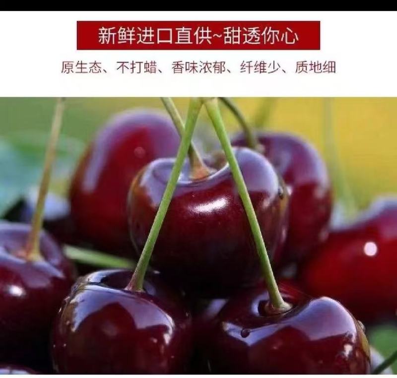 樱桃