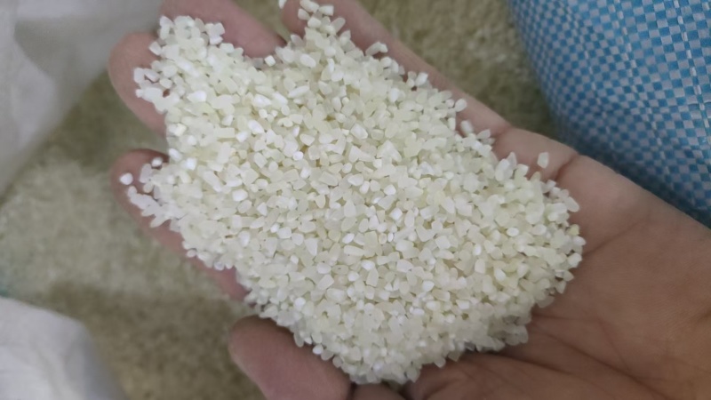 稻花香2号碎米少量