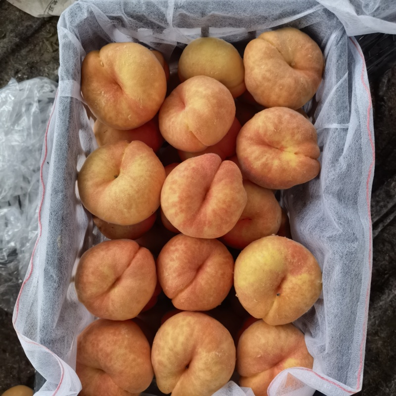 蒙阴蜜桃（油蟠桃，毛蟠桃，黄毛桃，黄油桃）