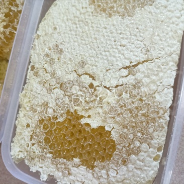 土蜂蜜