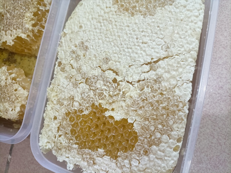 土蜂蜜