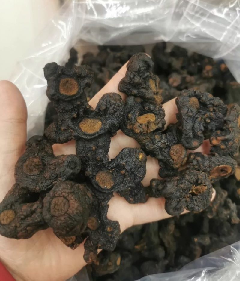 九蒸九晒野生黄精62一斤20斤起发包邮