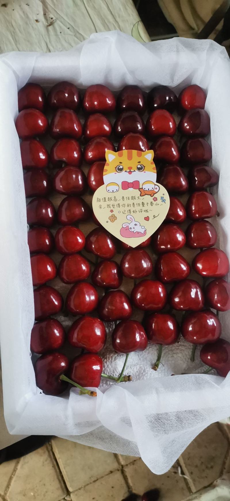 大连旅顺樱桃🍒
