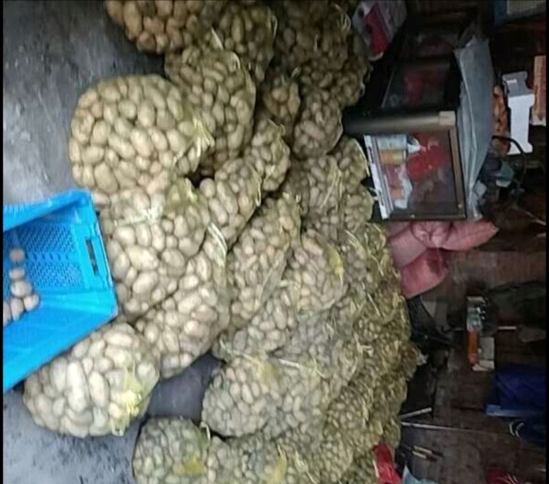 土豆