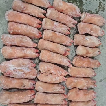冻货猪蹄
