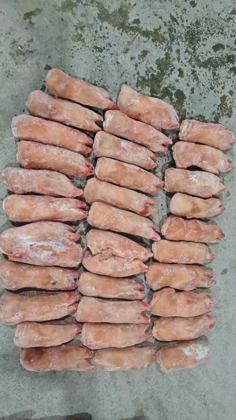 冻货猪蹄