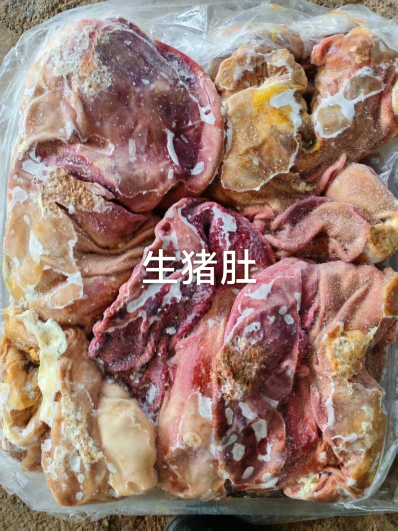 猪肚