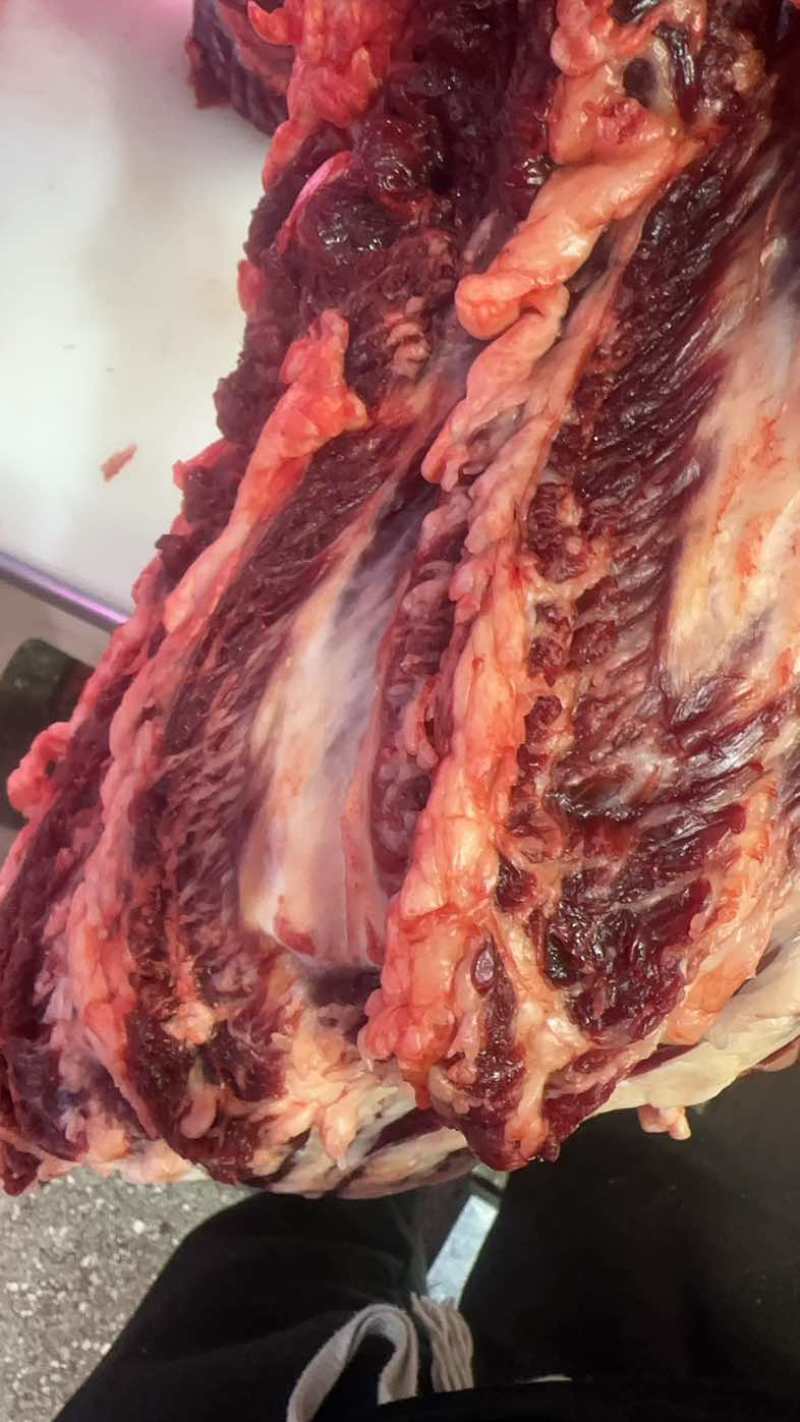 每天现宰鲜黄牛