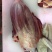每天现宰鲜黄牛