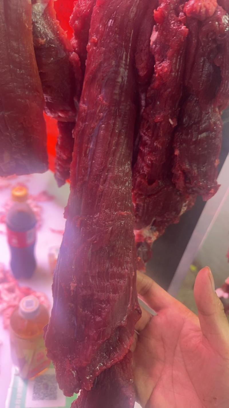 每天现宰鲜黄牛