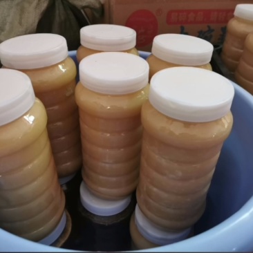 真正土蜂蜜，***任何东西。纯野生蜂蜜。