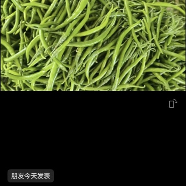 线椒上市