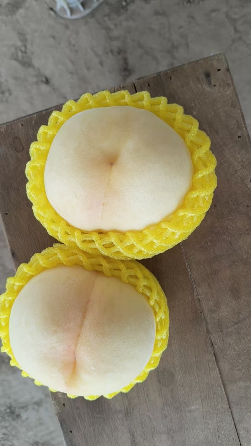 中桃五