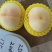 中桃五