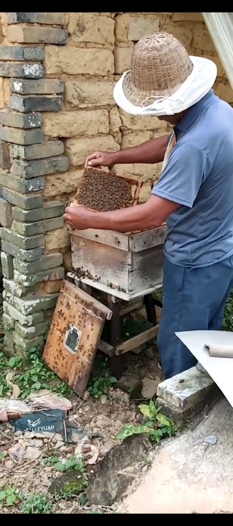 自己家老人养的蜂蜜