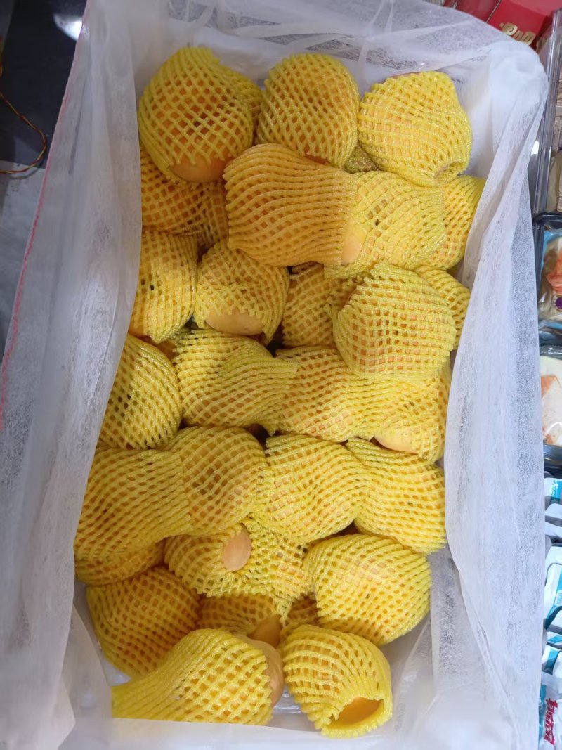 焦作蟠桃