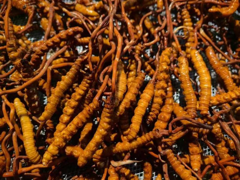 中草药、香料