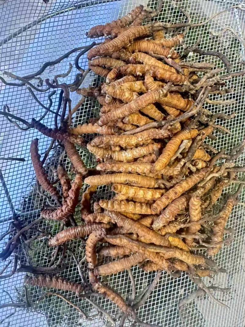 中草药、香料