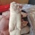 猪蹄