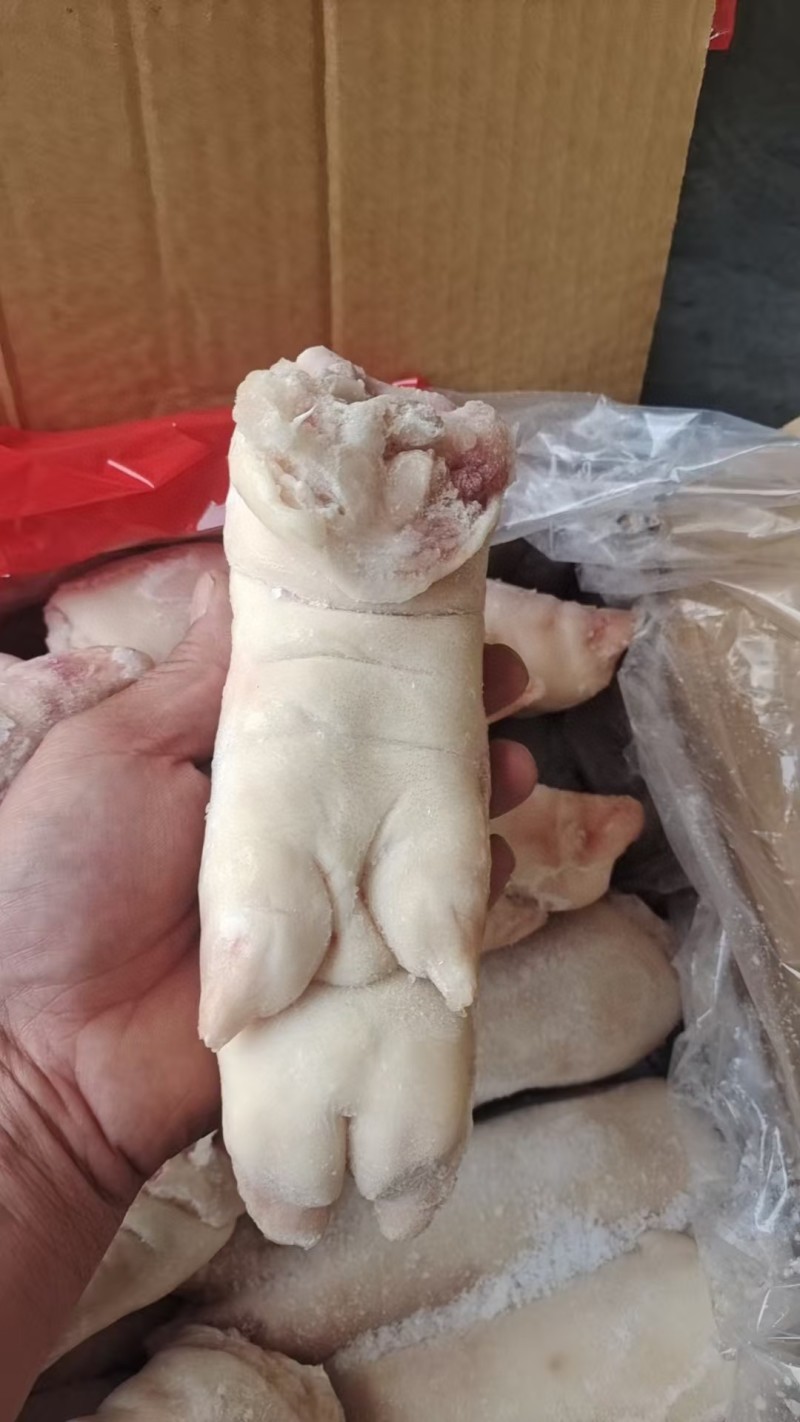 猪蹄