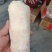 猪蹄