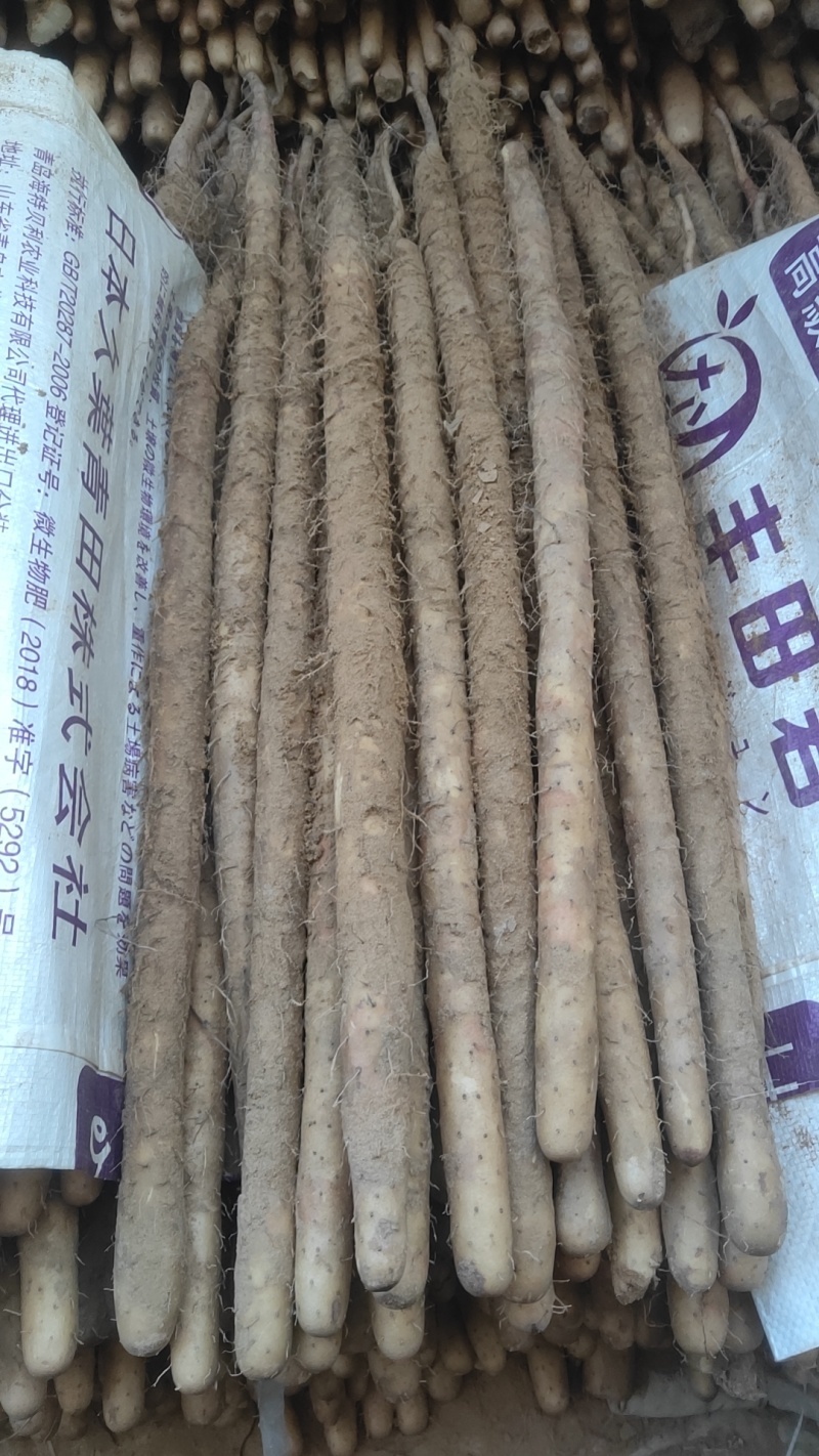 山药