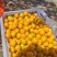 李广杏都是精品果