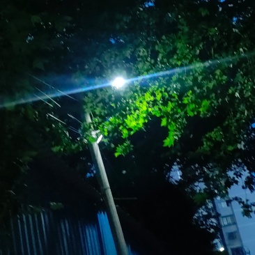 花椒