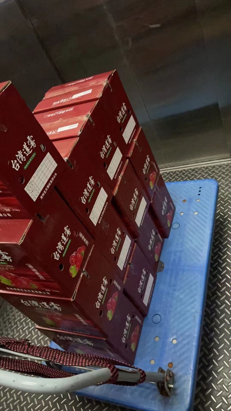 水果皇后